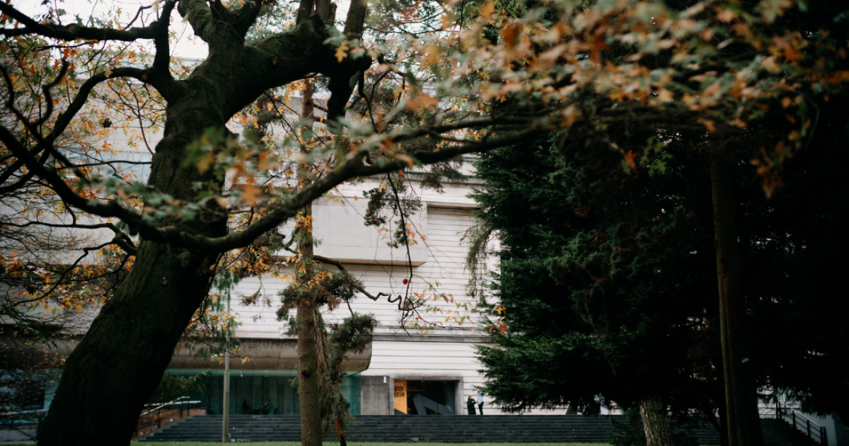Discover Together Ulster Museum